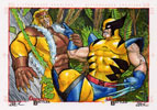 Wolverine Vs Sabretooth 3