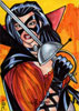 Lady Zorro 8