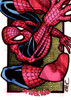 Spider-man 17