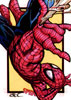 Spider-man 28