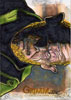 Grimm 43