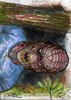 Grimm 48