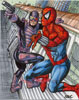 Paladin & Spider-man
