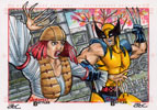 Wolverine Vs Lady Deathstrike 1