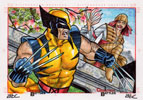Wolverine Vs Lady Deathstrike 3