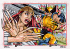 Wolverine Vs Lady Deathstrike 4