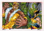 Wolverine Vs Sabretooth 1