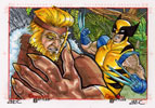 Wolverine Vs Sabretooth 2