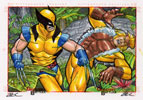 Wolverine Vs Sabretooth 4