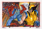 Wolverine Vs Spider-man 2