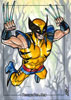 Wolverine 6