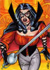 Lady Zorro 4