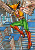 Hawkgirl 1
