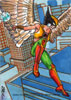 Hawkgirl 2