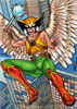 Hawkgirl 5