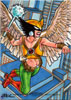 Hawkgirl 8
