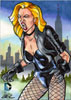 Black Canary 3