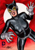 Catwoman 2