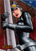 Catwoman 2