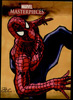Spider-man (4)