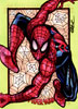 Spider-man 19
