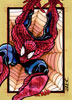 Spider-man 25