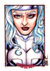 Silver Sable 2