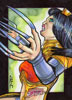 Lady Deathstrike 4