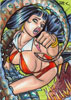 Vampirella 15