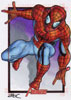 Spider-man 11