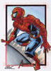 Spider-man 13