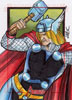 Thor 13